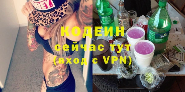 гашик Иннополис