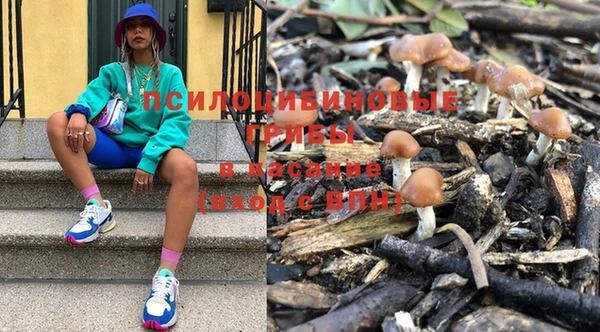 не бодяженный Инсар