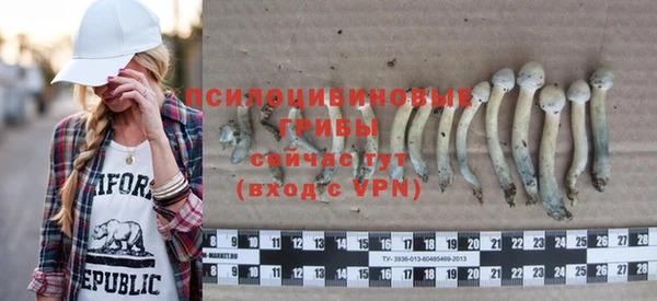 гашик Иннополис